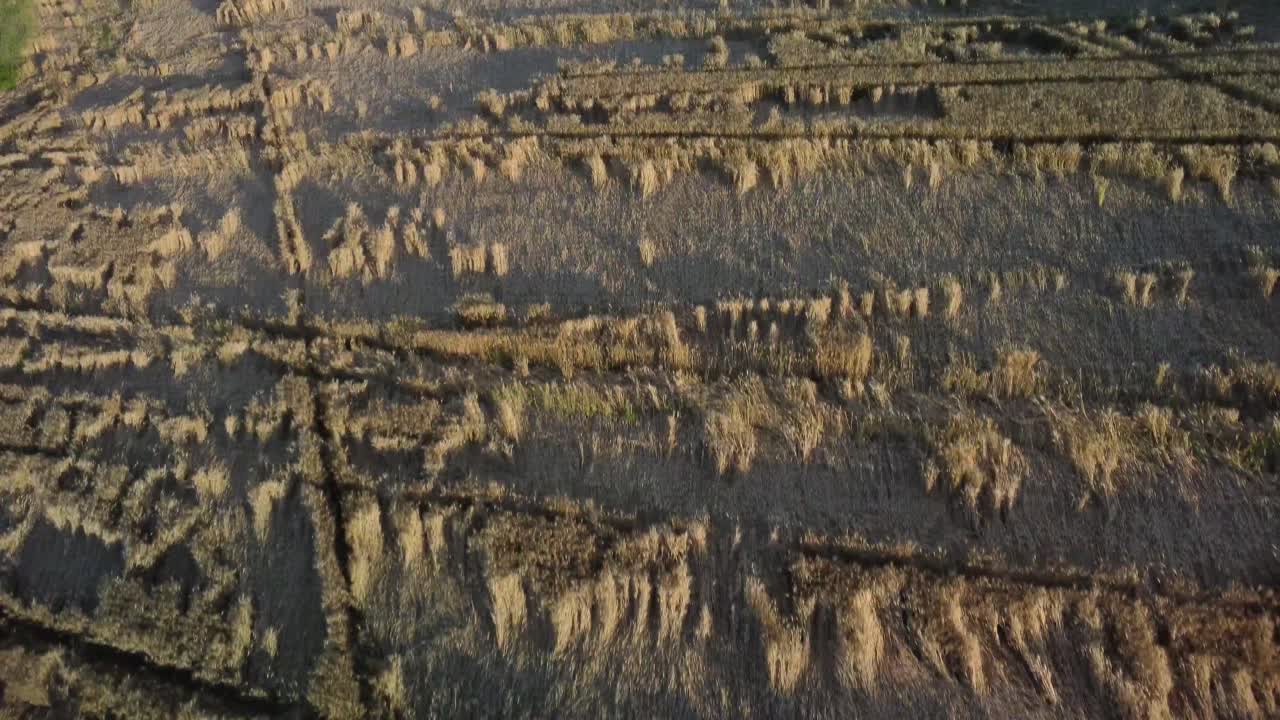 폭풍 에 의해 완전히 손상 된 곡물  ⁇  의 공중 전망