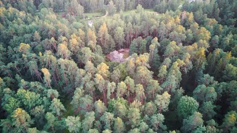 reconstructed wooden castle of semigallians in tervete, latvia surrounded by pine forest