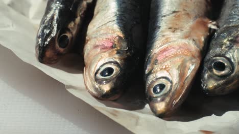 fresh anchovies