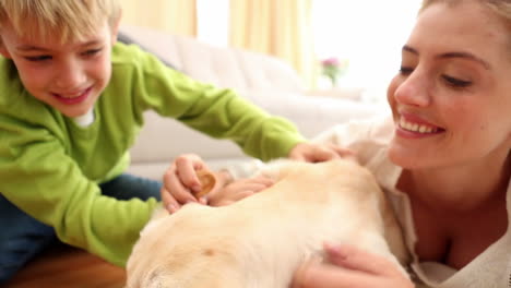 Happy-mother-and-son-playing-with-puppy-on-the-rug