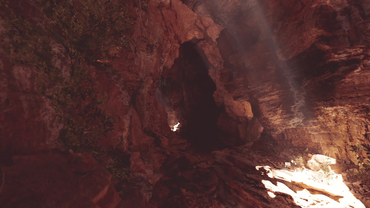 la luz del sol fluye a través de la entrada de una cueva