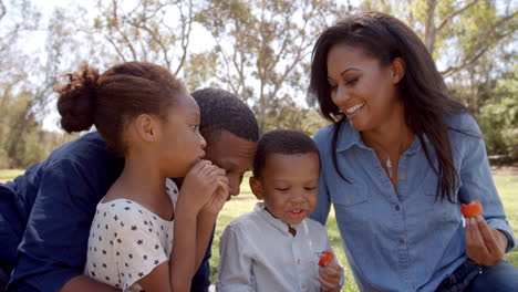 parents and children eating picnic in park, close up