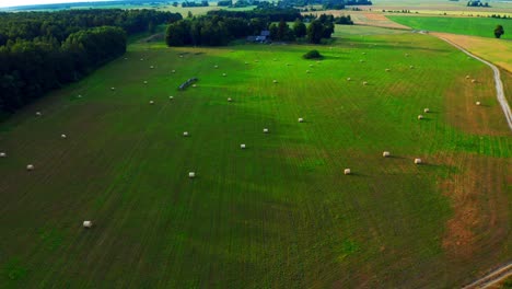 Heuballen-Rollt-Im-Sommer-Auf-Einem-Riesigen-Grünen-Feld