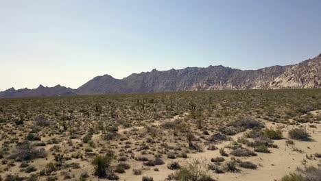 Weit-über-Dem-Boden-Steppengras-Berg-Im-Hintergrund-Erstaunliche-Luftaufnahme-Flug-Rückwärts-Fliegen-Drohnenaufnahmen-Wüste-Im-Coachella-Valley-USA-2018-Filmische-Naturansicht-Von-Oben-Von-Philipp-Marnitz