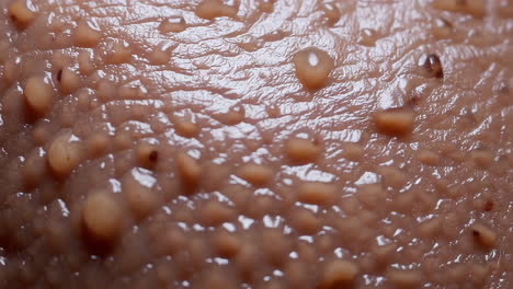 close-up of skin with sweat or water droplets