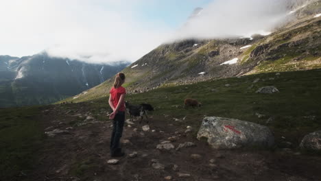 a young girl enjoying a beautiful view surrounded by goats and mountains