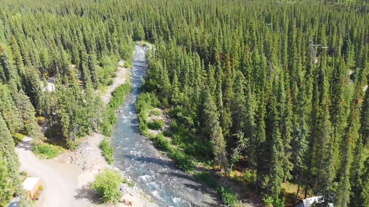 video de dron de 4k del hermoso arroyo carlo cerca del parque nacional y reserva denali, ak durante el verano