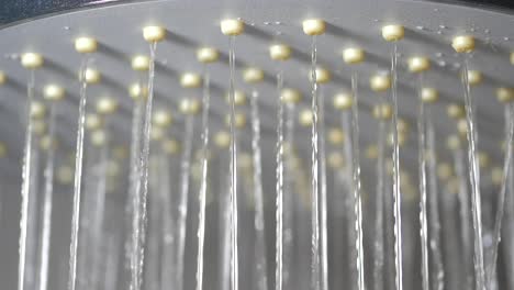 water streaming from a shower head