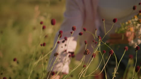 close-up of gardener s hand in pink open shirt and white polo inside reaching towards vibrant wildflowers with soft pink and red hues in sunlit grassy field