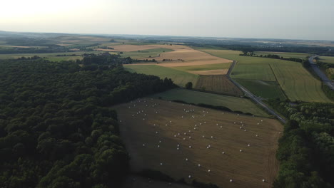 aerial view of agricultural fields and forest