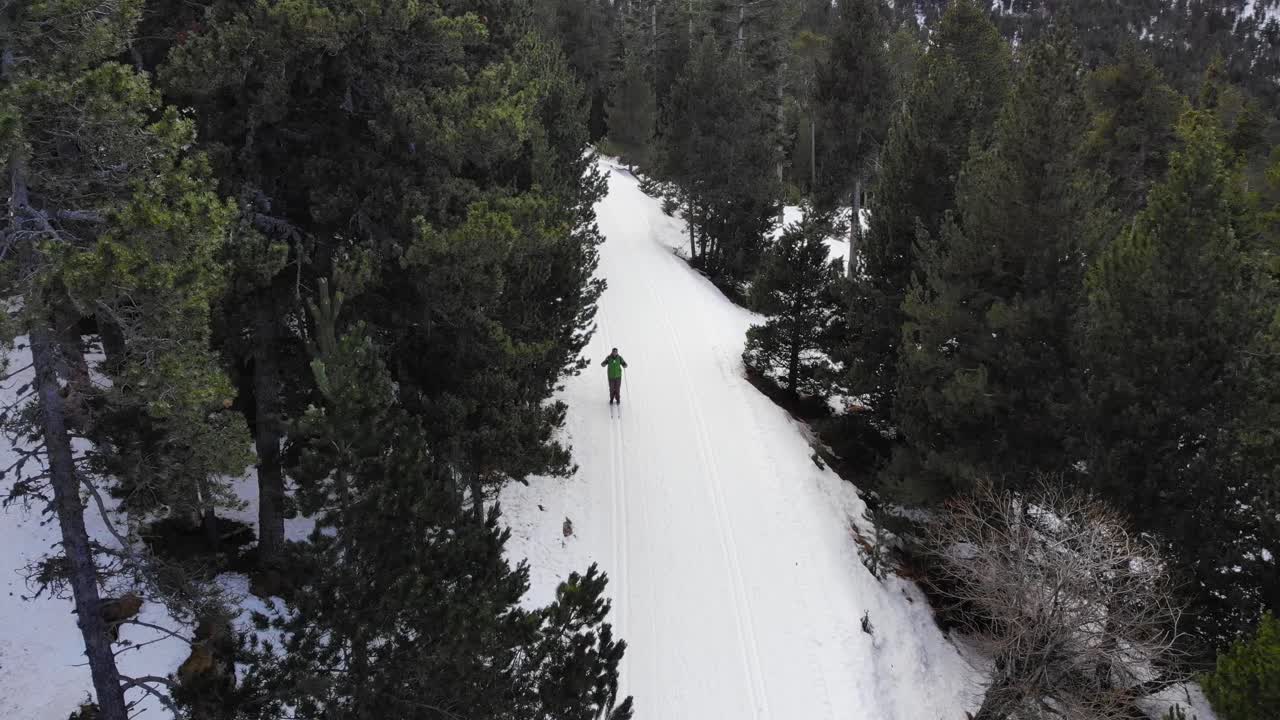 antena: esquiador de fondo aficionado siguiendo una pista de esquí en el bosque y cruzando con otro esquiador visto desde arriba