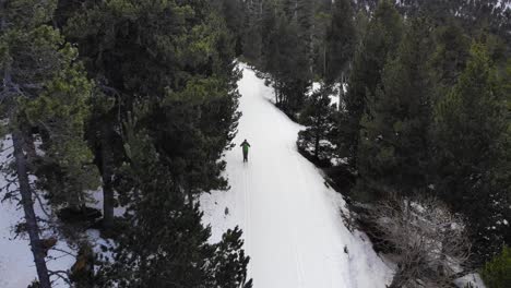 Antenne:-Amateur-Langläufer-Folgt-Einer-Loipe-In-Den-Wald-Und-Kreuzt-Sich-Mit-Einem-Anderen-Skifahrer-Von-Oben