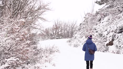 Woman-in-warm-outerwear-walking-in-snowy-forest-in-daylight