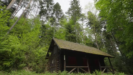 Low-Angle-Aufnahme-Einer-Gemütlichen-Hütte-Im-Wald,-Geschmückt-Mit-Majestätischen-Bäumen-Im-Wald