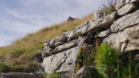 tranquil stone wall with flowing water in durmitor national park