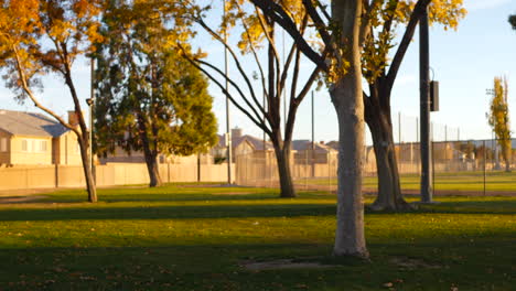 una puesta de sol dorada de árboles de otoño con hojas de otoño en el suelo en un campo de parque