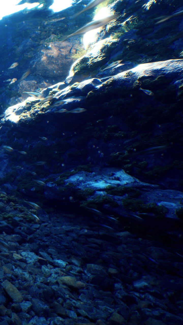 Underwater scene with rocks and water surface reflecting light in clear water