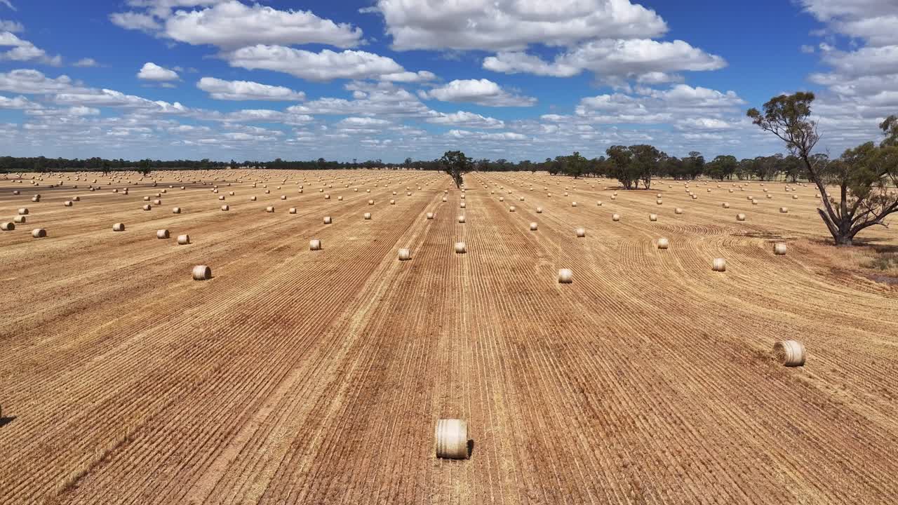 Low aerial of hay spread across cropped paddocks in an open country landscape