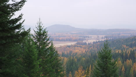 Schöne-Herbstfarben-Des-Waldes-An-Einem-Kalten,-Nebligen-Morgen---Weite-Pfanne