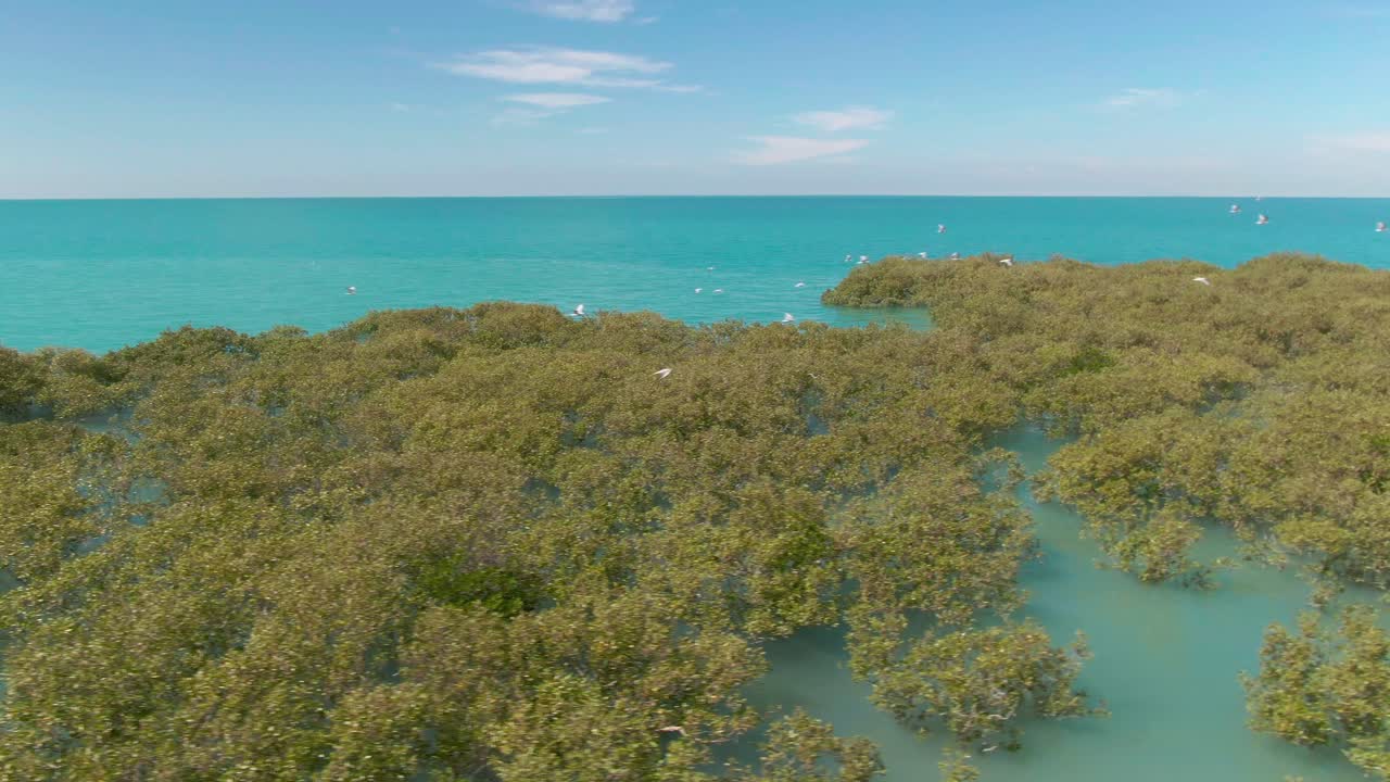 el santuario de aves de roebuck bay en broome, australia