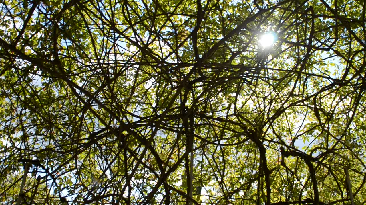parque