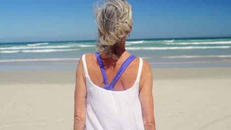 animación de hacerlo por ellos sobre la vista de atrás de la mujer caucásica en la playa
