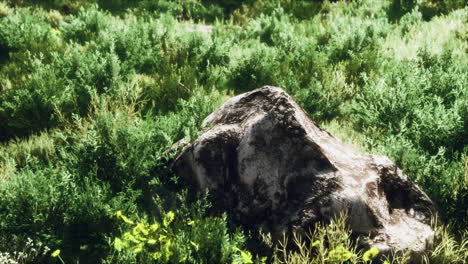 Grandes-Rocas-En-El-Campo-Con-Hierba-Seca