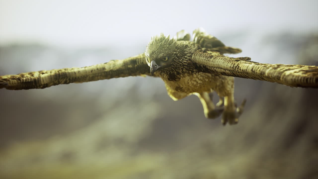 Majestic hawk gracefully soaring over a lush landscape during golden hour