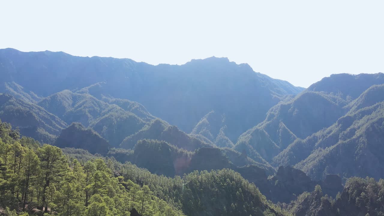 Drone video footage of beautiful forest valley landscape in Caldera Taburiente National Park, Canary Islands, on a sunny day