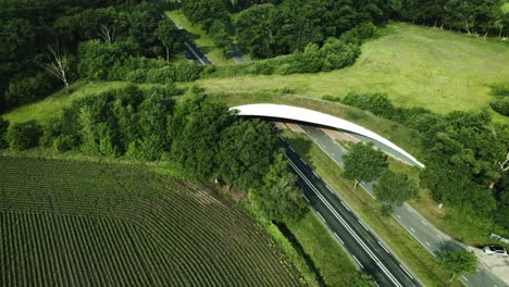 dutch landscape with road traversed by wildlife crossing forming a safe natural corridor bridge for animals to migrate between conservancy areas. environment nature reserve infrastructure eco passage.