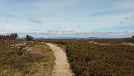 Hiking-in-dirt-track