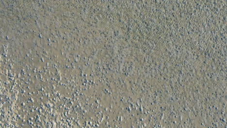 drone shot of tidal flat with clear blue water and holes in the sand, downward angle coastal aerial