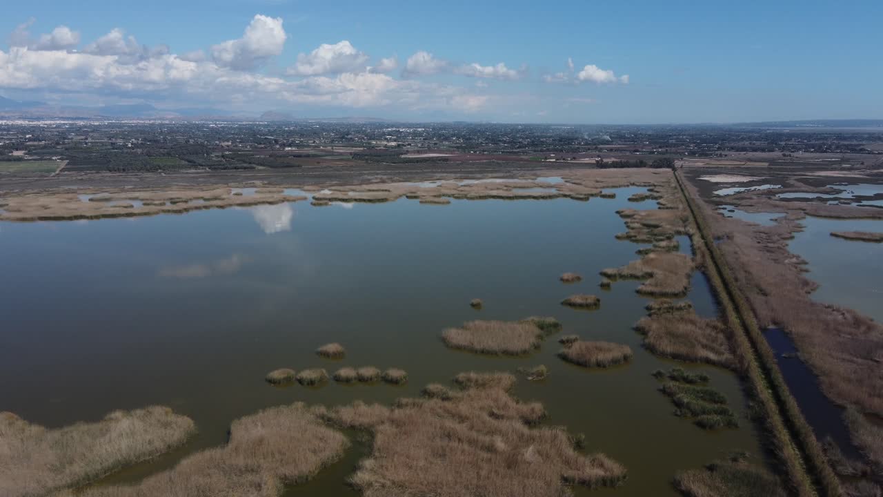 Le paludi del Parco Naturale El Hondo, un santuario degli uccelli. Elche, Spagna