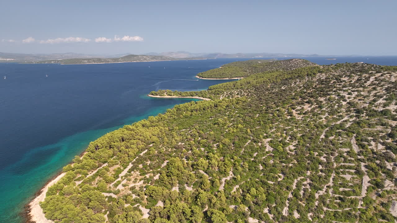 grandes bahías claras en la isla boscosa de zmajan en croacia en un día soleado