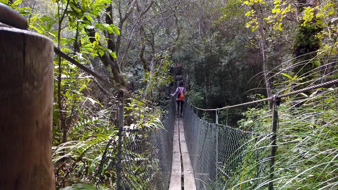 mujer caminando cuidadosamente sobre un puente de cuerda en la naturaleza de nueva zelanda