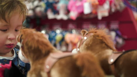 little boy looking at the toy horses in shop