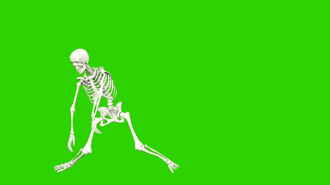 danza dello scheletro. animazione a loop senza soluzione di continuità sullo schermo verde.
