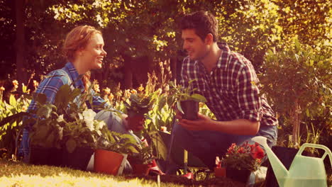 happy couple gardening in the park