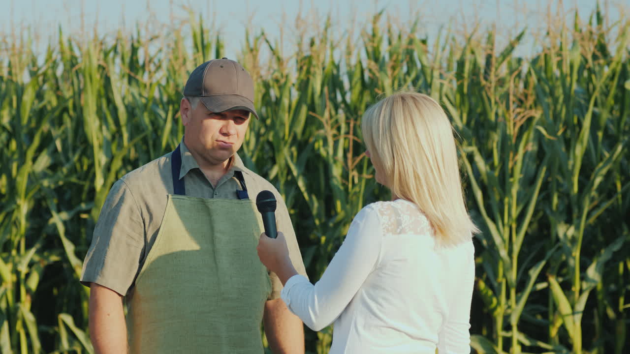 기자가 옥수수 밭을 배경으로 성공적인 농부 스탠드를 인터뷰합니다.