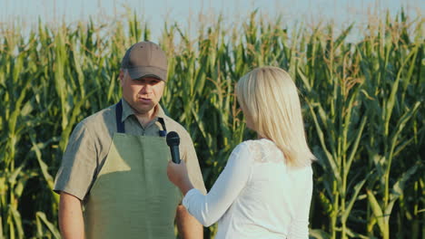 a journalist interviews a successful farmer stand in the background of a field of corn