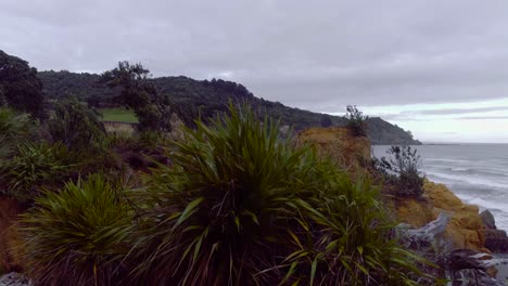 Rising-from-rock-cluster-to-reveal-secluded-beach-on-wild-rugged-coast-of-New-Zealand