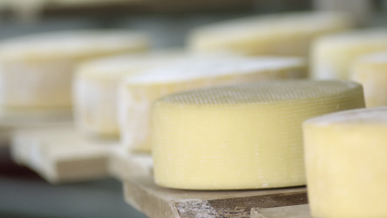 ritratto dettagliato dei formaggi in cantina