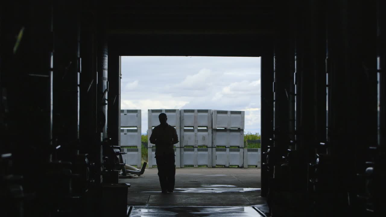Winery: Silhouette of a worker entering fermentation tank warehouse