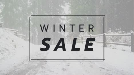 Digitally-generated-video-of-winter-sale-4k