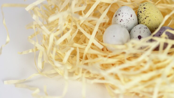 Rotating Nest of Easter Eggs