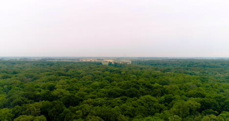 Aerial-Shot-Of-Woods-Forest-Nature-Landscape-4