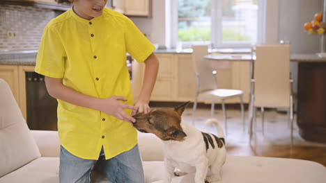 Blonder-Junge-Mit-Lockigem-Haar,-Der-Auf-Der-Couch-Kniet,-Während-Er-Mit-Seinem-Hund-Spielt