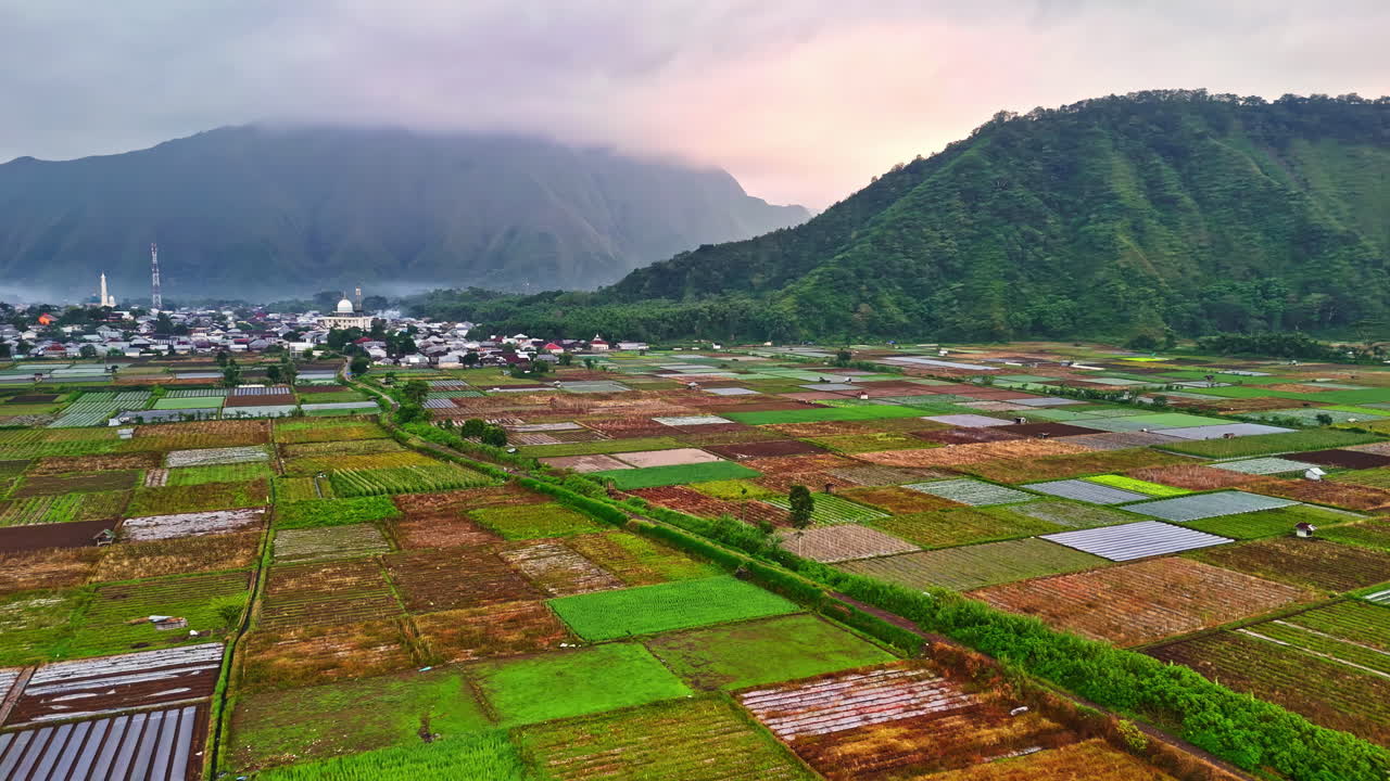 Lush farmland with colorful crops and Bukit Selong hills in Bali at sunrise
