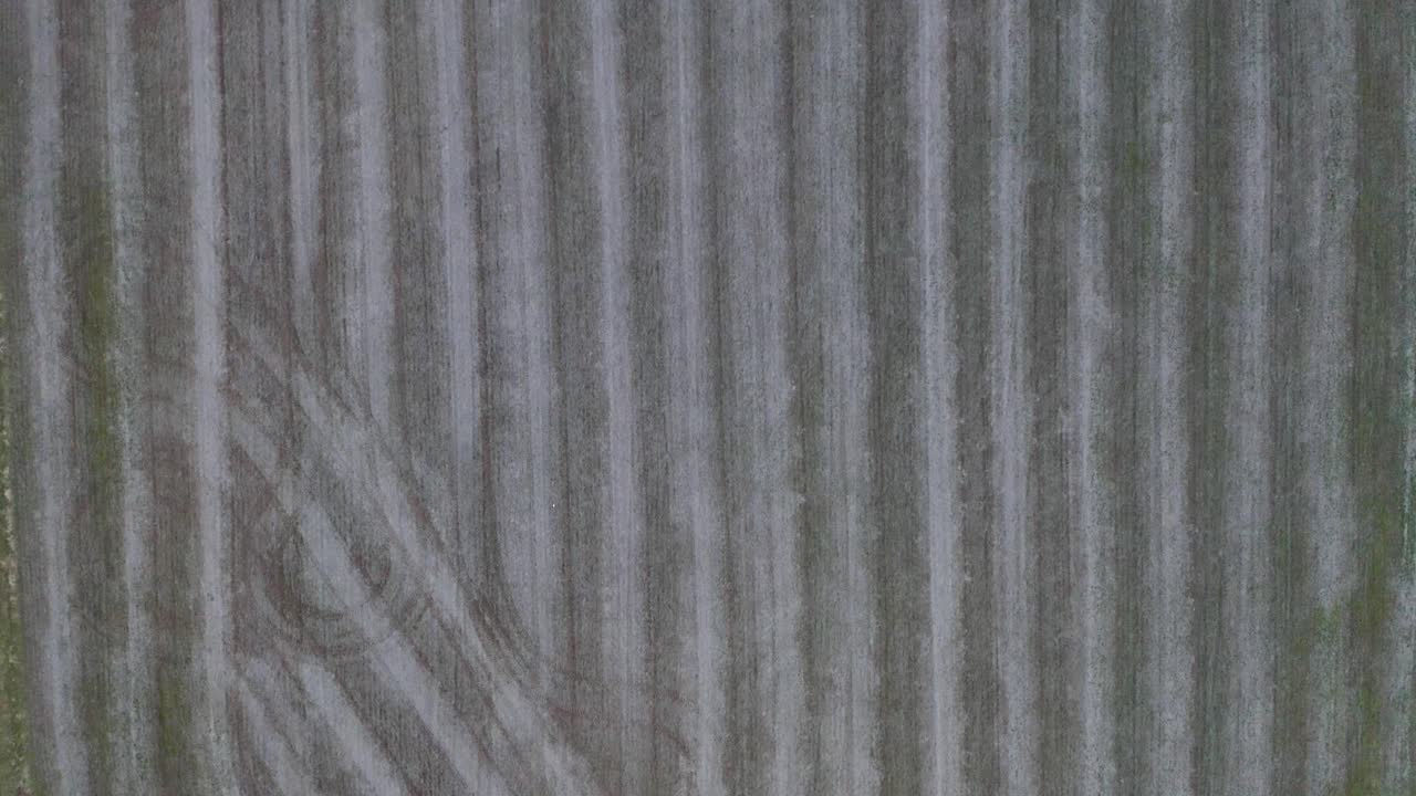 어두운 분위기와 함께 일몰에 가까운 프랭크포트 켄터키에서 옥수수가 재배되는 갓 깎은 농장 토지 플롯의 하향식 돌리 공중 샷