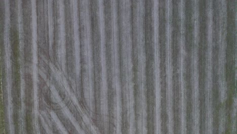 A-top-down-dolly-aerial-shot-of-a-freshly-mowed-farm-land-plot-where-corn-is-grown-in-Frankfort-Kentucky-nearing-sunset-with-a-dark-vibe